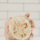 Lemon Zest Loofah Sponge Soap